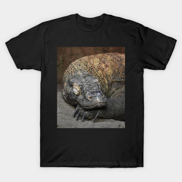 Komodo Dragon T-Shirt by Sharonzoolady